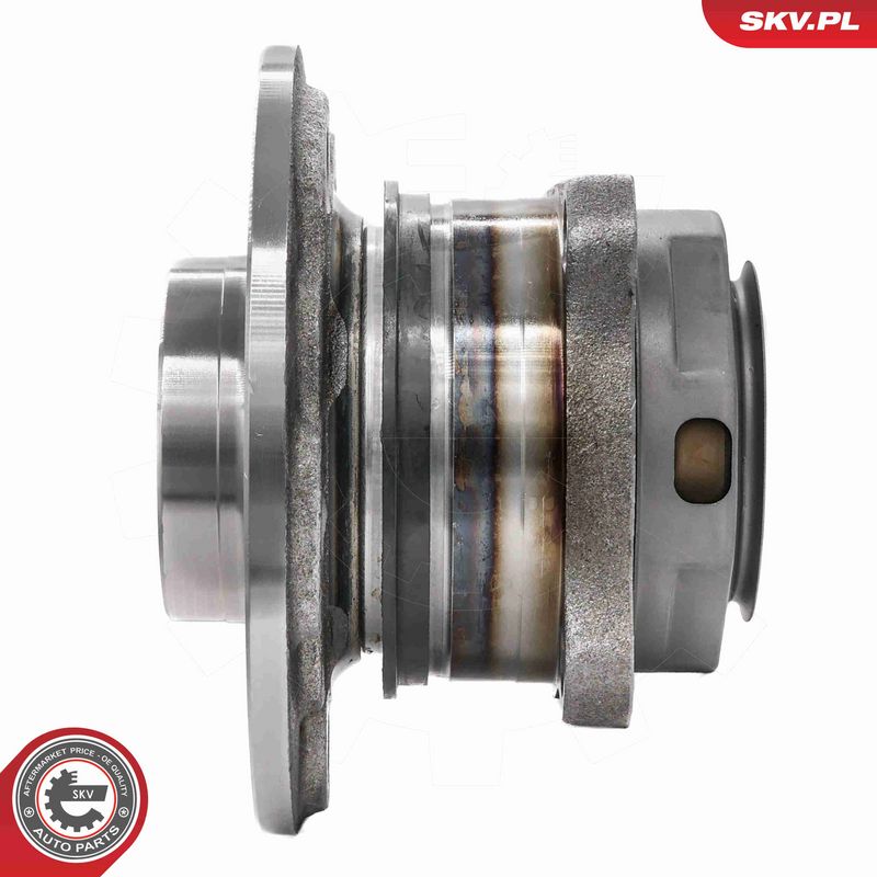 ESEN SKV 29SKV708 Wheel Bearing Kit
