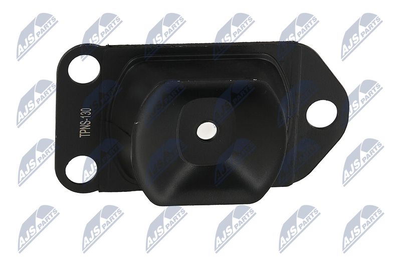 Paigutus, Mootor, NTY ZPS-NS-130