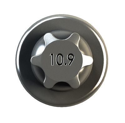 биелен болт IPSA