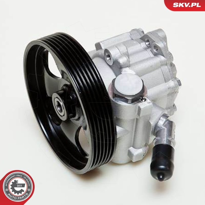 Hüdraulikapump, roolimine, ESEN SKV 10SKV060