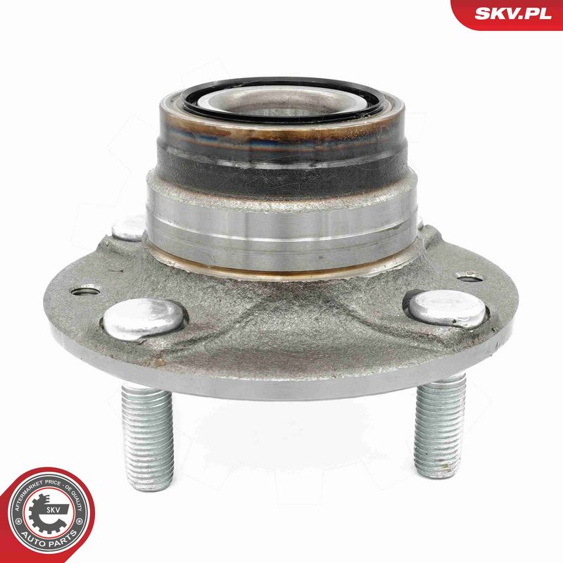 ESEN SKV 29SKV619 Wheel Bearing Kit