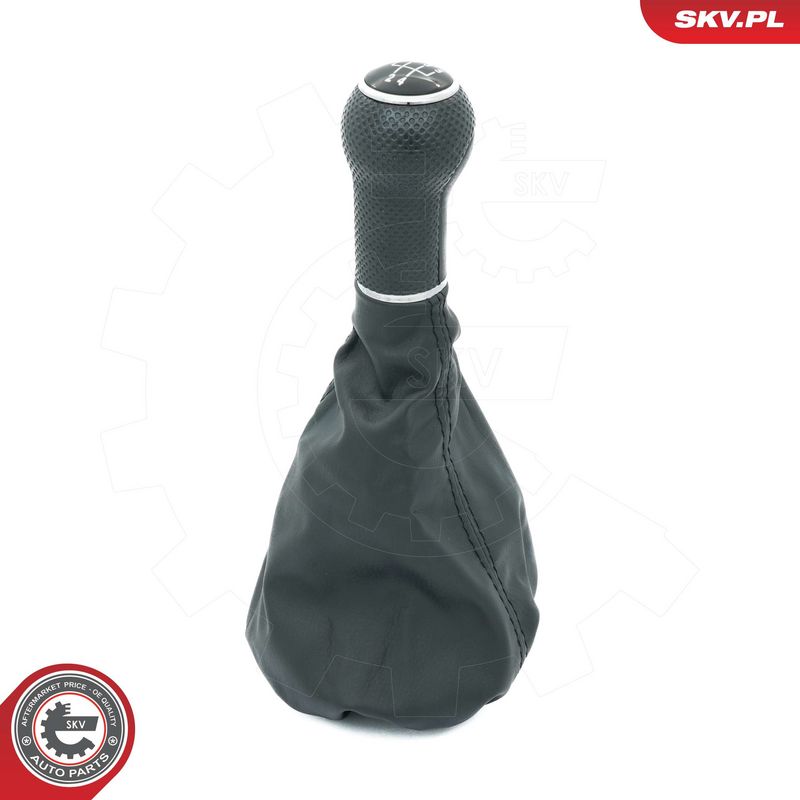 Käigukanginupp, ESEN SKV...