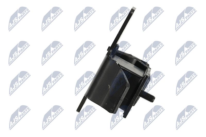 Paigutus, Mootor, NTY ZPS-NS-100