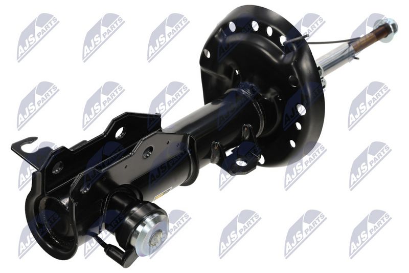 Amort, NTY A-PL-061