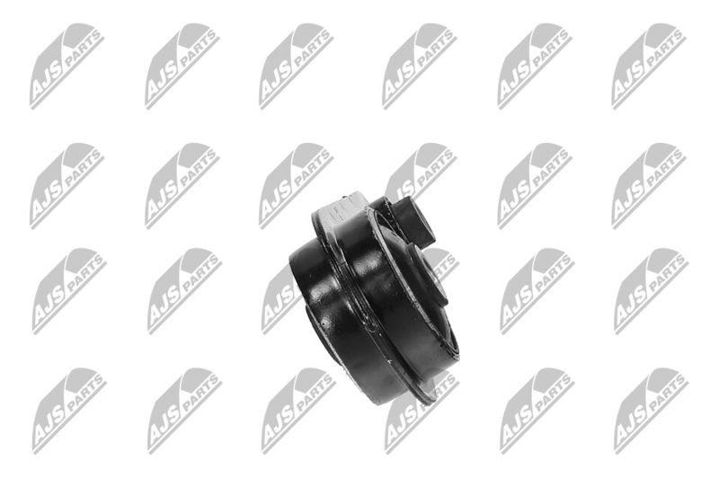 Paigutus, Mootor, NTY ZPS-NS-075