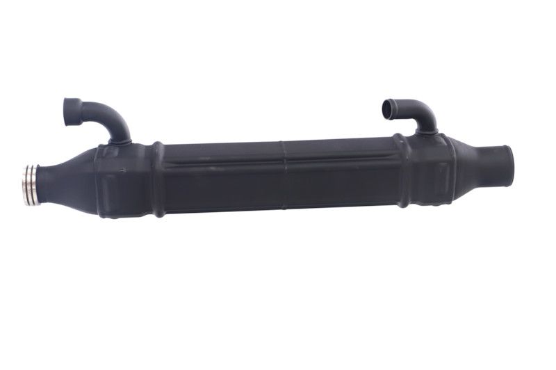 REMANTE 010-001-000022R EGR Module