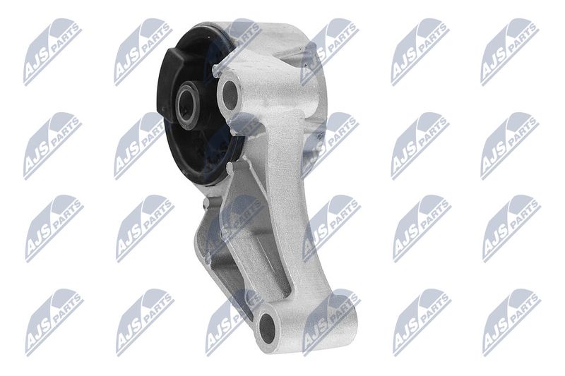 Paigutus, Mootor, NTY ZPS-PL-069