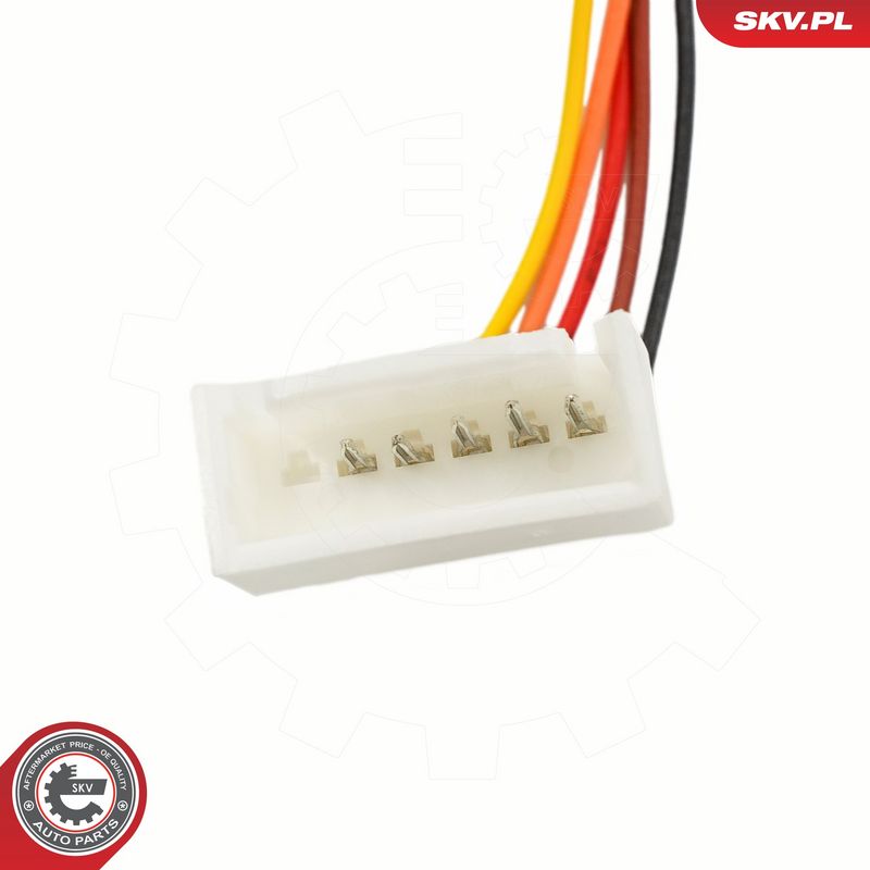 Käigukanginupp, ESEN SKV 63SKV202