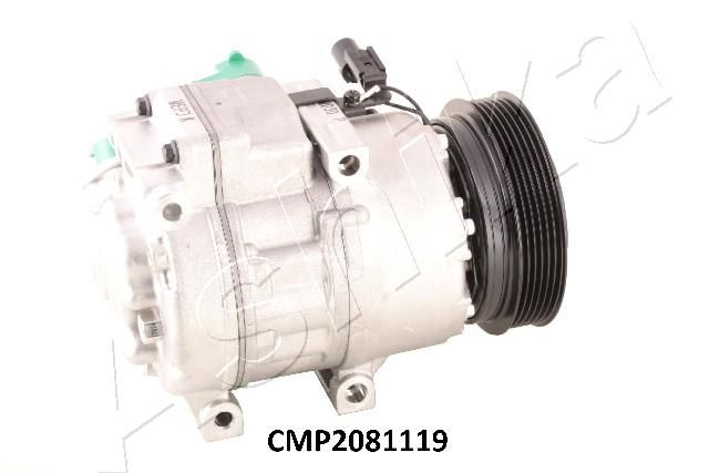 CMP2081119_2.JPG