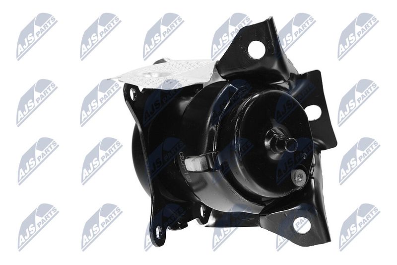 Paigutus, Mootor, NTY ZPS-CH-150