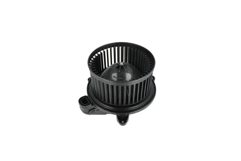 Salongipuhur, NRF 34365