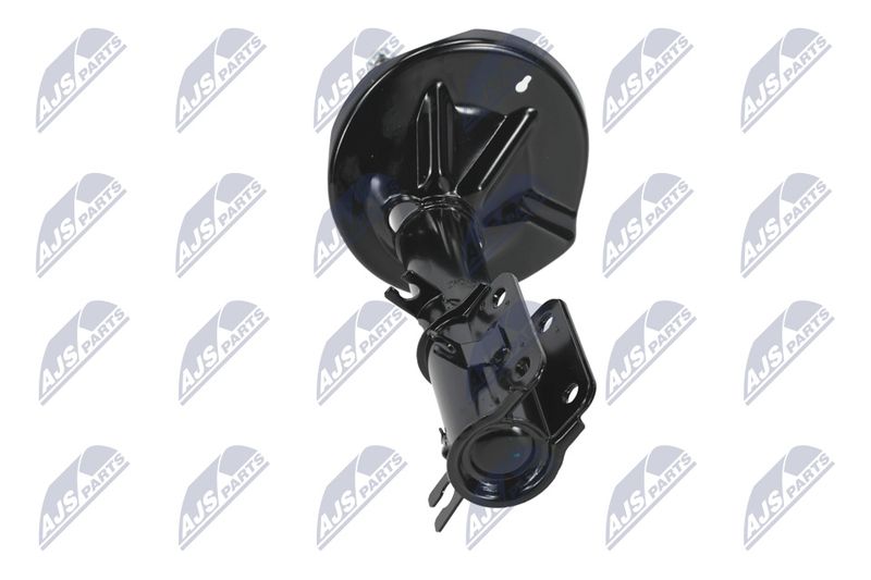 Amort, NTY A-CH-052