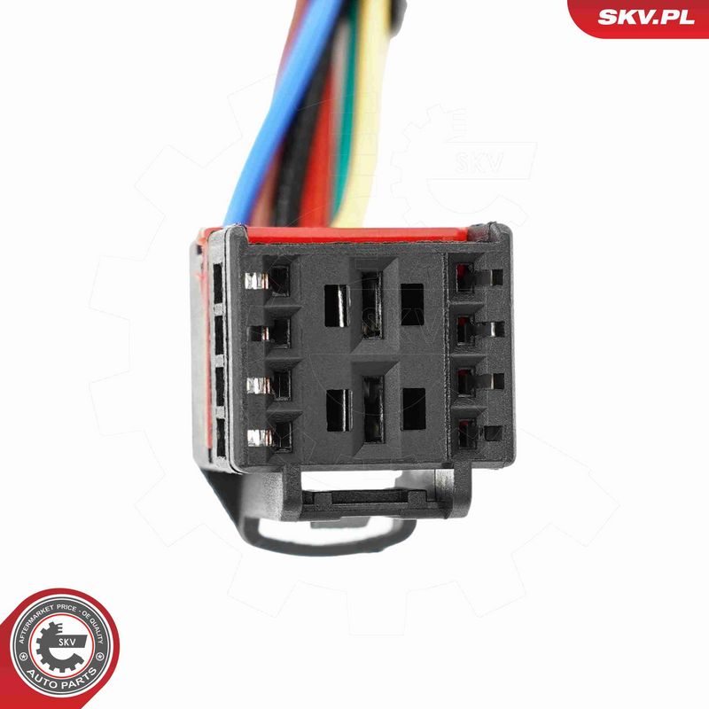 ESEN SKV 52SKV206 Electric Motor, tailgate