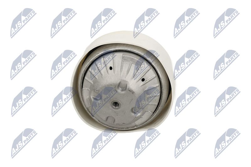 Paigutus, Mootor, NTY ZPS-ME-103