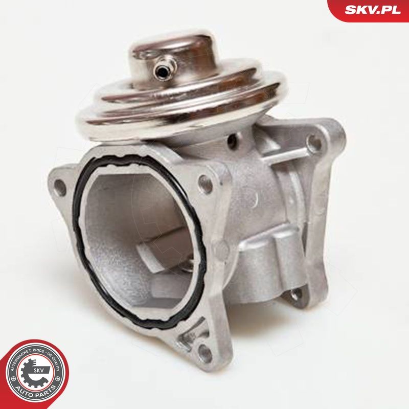 EGR-klapp, ESEN SKV 14SKV019