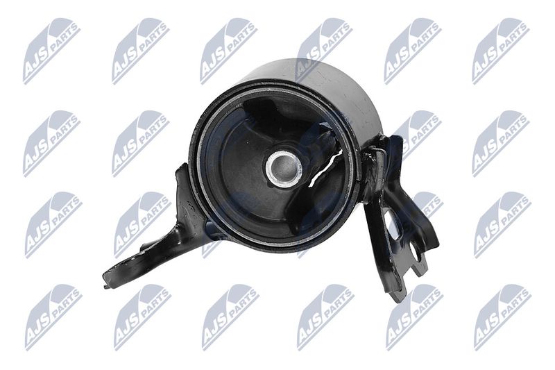 Paigutus, Mootor, NTY ZPS-CH-179