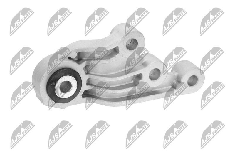 Paigutus, Mootor, NTY ZPS-CH-123