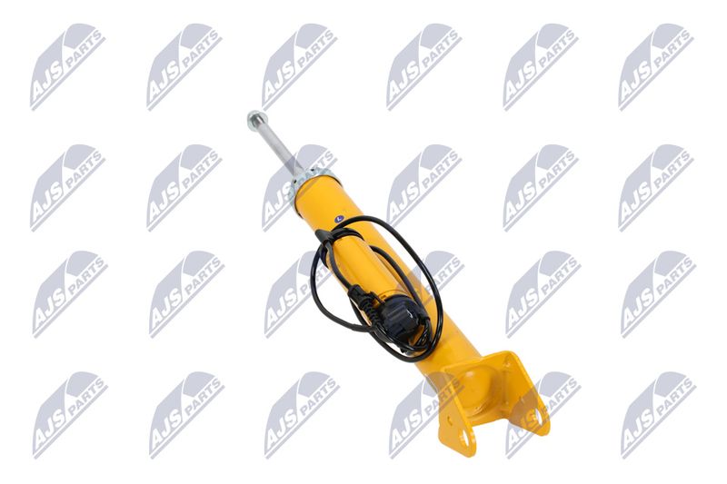 Amort, NTY A-CH-102