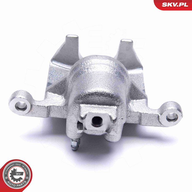 ESEN SKV 55SKV553 Brake Caliper