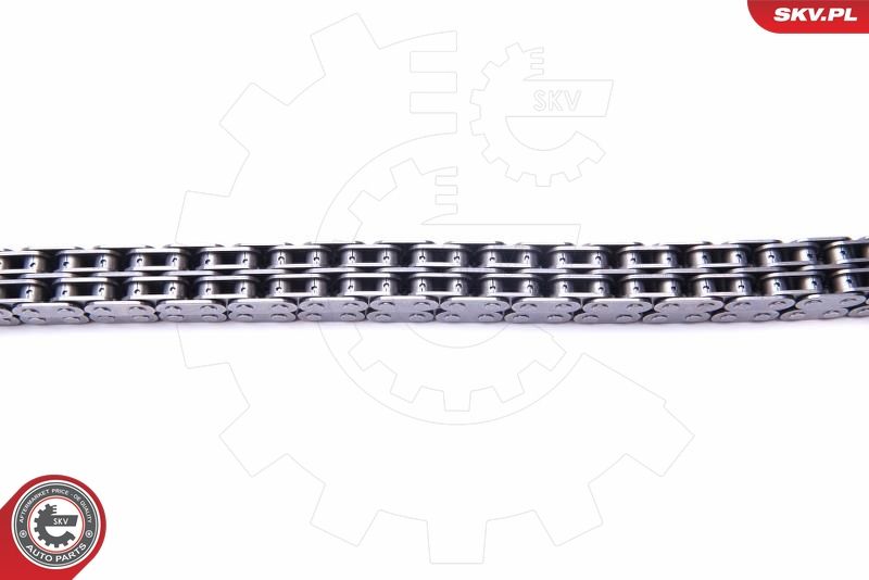 ESEN SKV 21SKV144 Timing Chain Kit