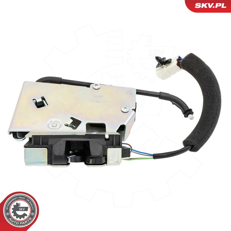Tagaluugi sulgur, ESEN SKV 60SKV656
