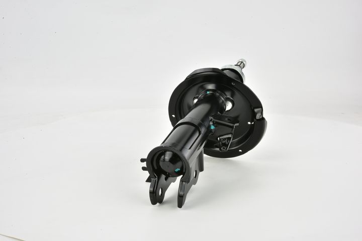 Amort, FEBEST 12110-002FL