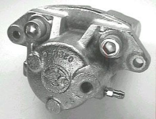 521561.JPG