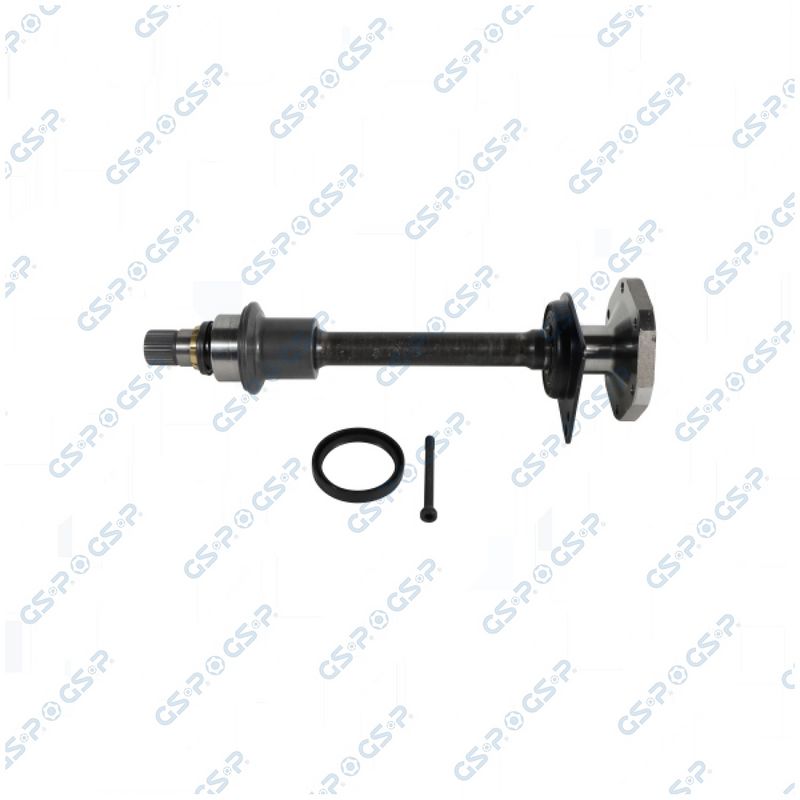Arbore, diferential GSP 203383