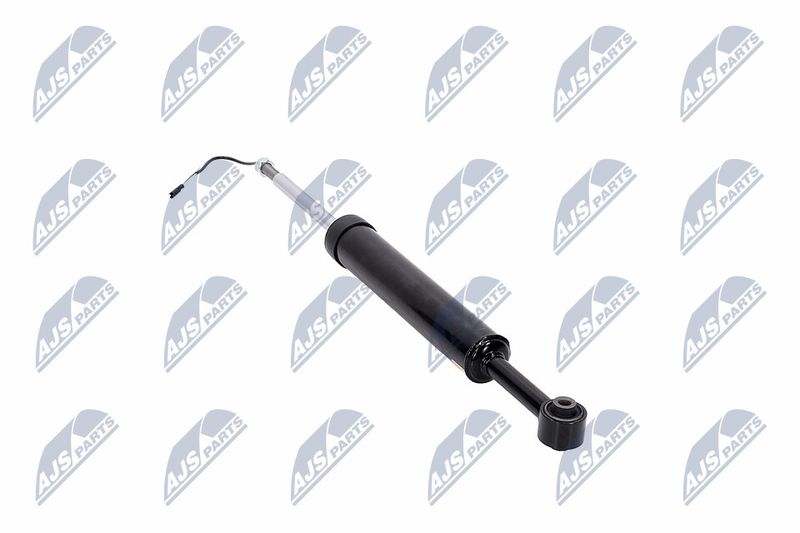 Amort, NTY A-MA-002