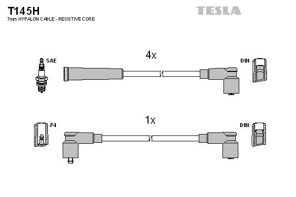 T145H.BMP