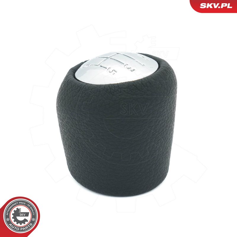 Käigukanginupp, ESEN SKV 63SKV110