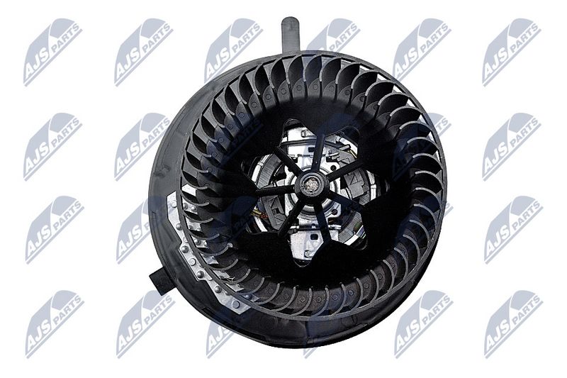 Salongipuhur, NTY EWN-WW-007