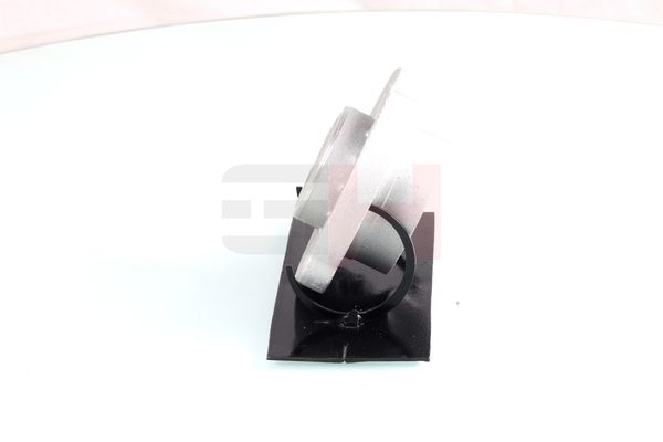 Vedruamordi tugilaager, GH GH-361524