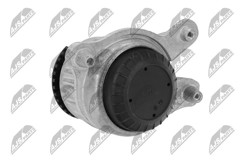 Paigutus, Mootor, NTY ZPS-ME-019