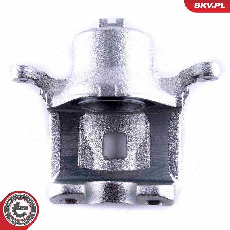 ESEN SKV 55SKV061 Brake Caliper