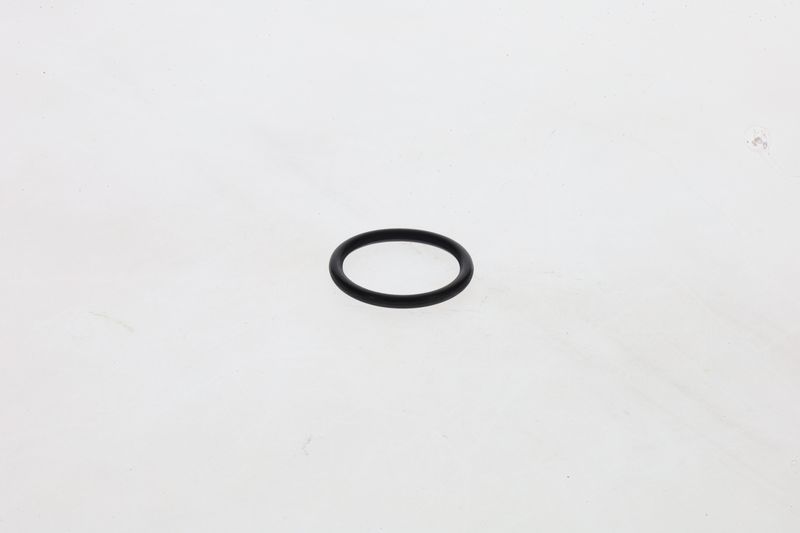 Inel cauciuc 1 460 210 306 BOSCH