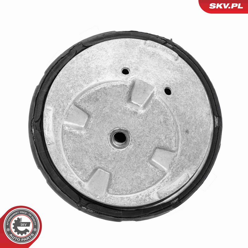 Paigutus, Mootor, ESEN SKV 75SKV146