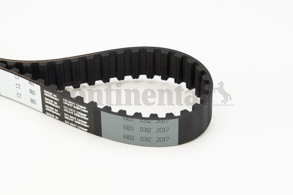 BELTPIC_CT883.JPG