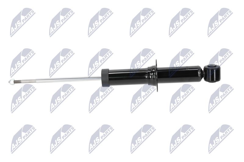 Amort, NTY A-CH-058