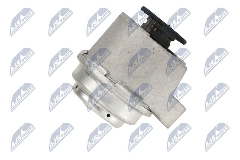 Paigutus, Mootor, NTY ZPS-FR-017