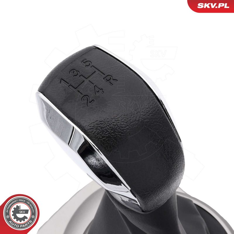 Käigukanginupp, ESEN SKV...