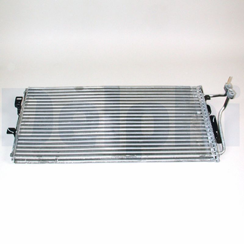 CF20003.JPG