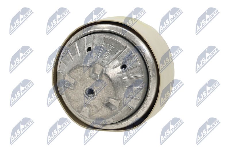 Paigutus, Mootor, NTY ZPS-ME-101