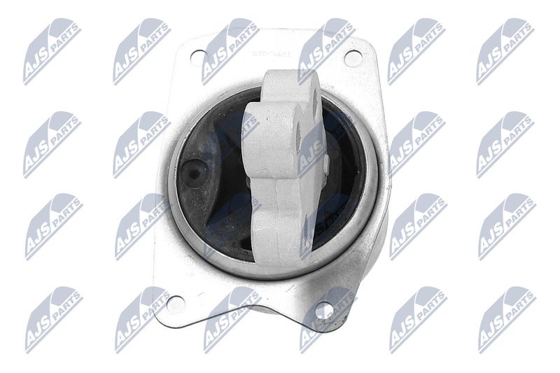 Paigutus, Mootor, NTY ZPS-PL-025