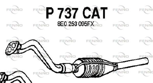 P737CAT.JPG