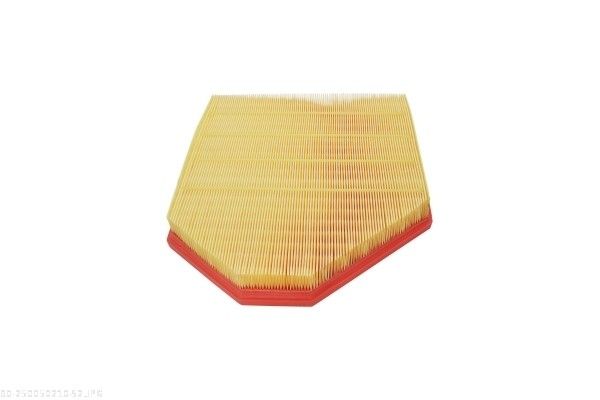 AUTOMEGA 250050210 Air Filter