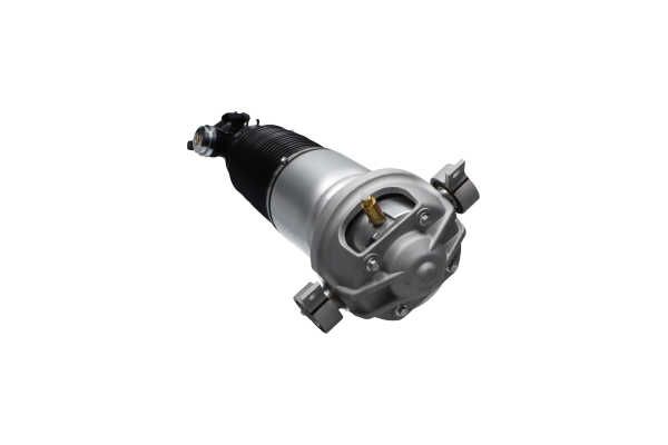 Kavo Parts SAS-10047 Air Suspension Strut