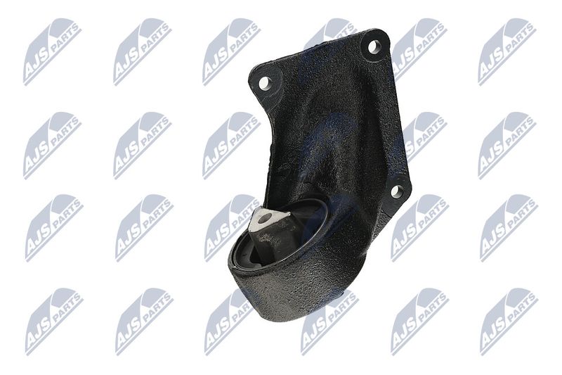 Paigutus, Mootor, NTY ZPS-CH-004