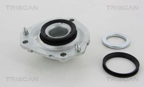 TRIS850010909_2.JPG