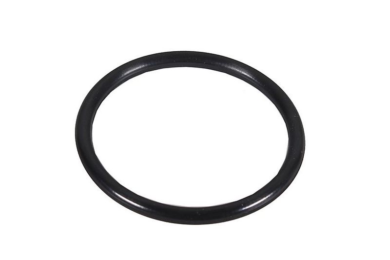 METZGER AUTOTEILE 2430159 - Seal Ring, charger